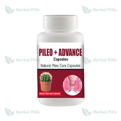 Pileo + Advance